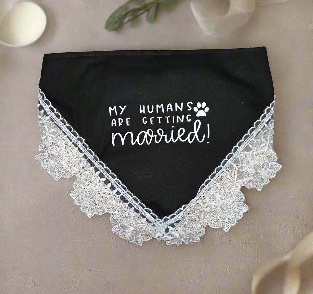 Medium Wedding Bandana - Black - My Humans Are Getting Married!
