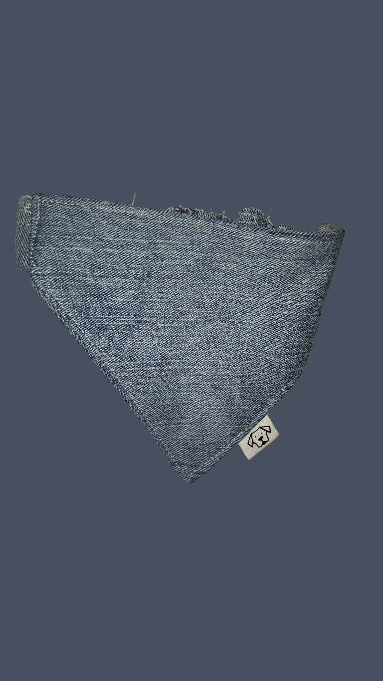 Extra Large Bandana - Jean-Dana