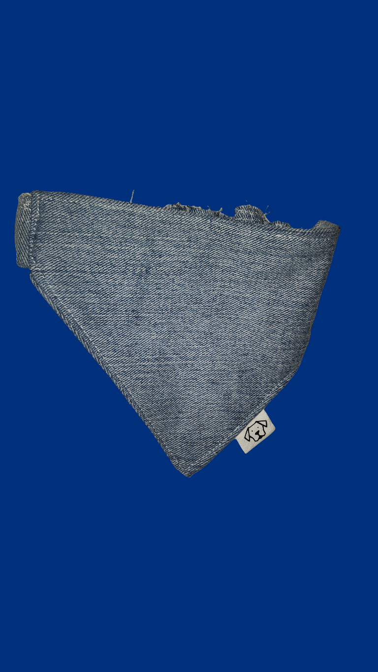 Extra Large Bandana - Jean-Dana